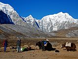 02 Loading The Yaks With Gur Karpo Ri And Pemthang Ri At Valley Junction To Kong Tso Above Drakpochen
